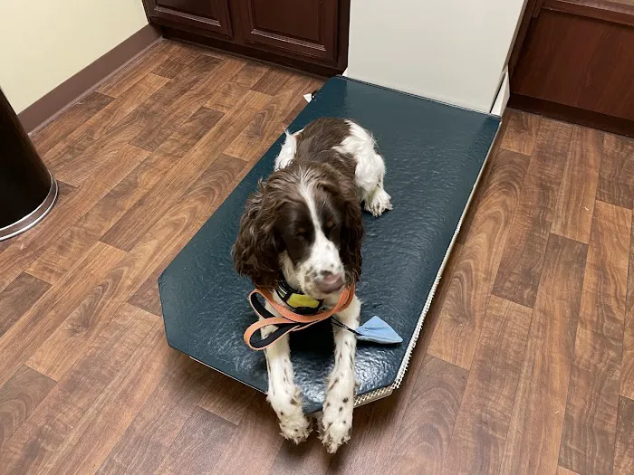 Oak Forest Veterinary Hospital Picture 1