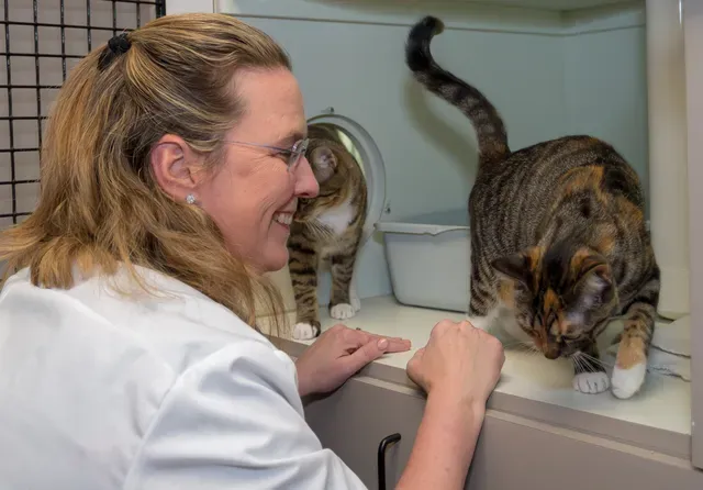 Oak Forest Veterinary Hospital Picture 7