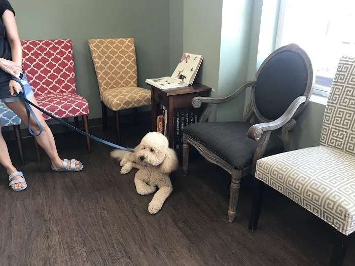 Oak Forest Veterinary Hospital Picture 6