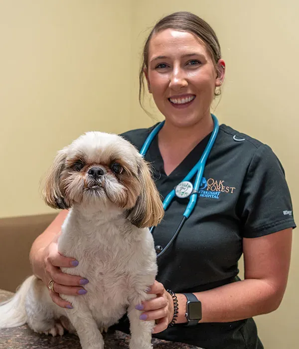 Oak Forest Veterinary Hospital Picture 9