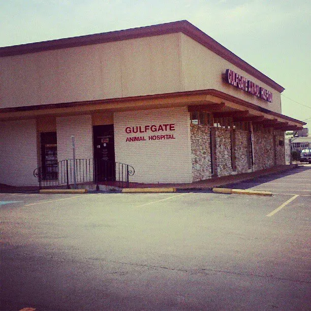 Gulfgate Animal Hospital. Picture 1
