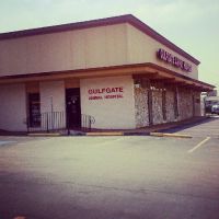 Gulfgate Animal Hospital. ico