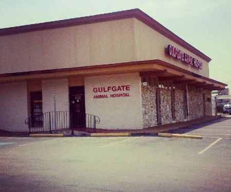 Gulfgate Animal Hospital.
