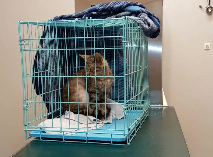 Gulfgate Animal Hospital. Picture 2