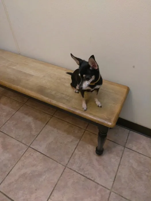 Gulfgate Animal Hospital. Picture 7