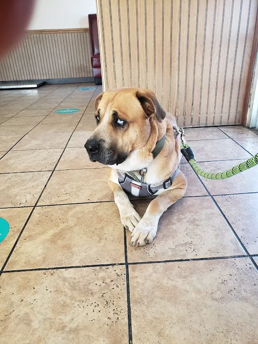 Gulfgate Animal Hospital. Picture 8