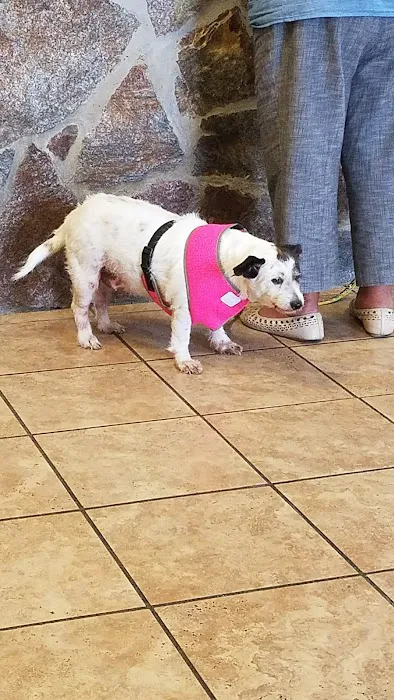 Gulfgate Animal Hospital. Picture 5