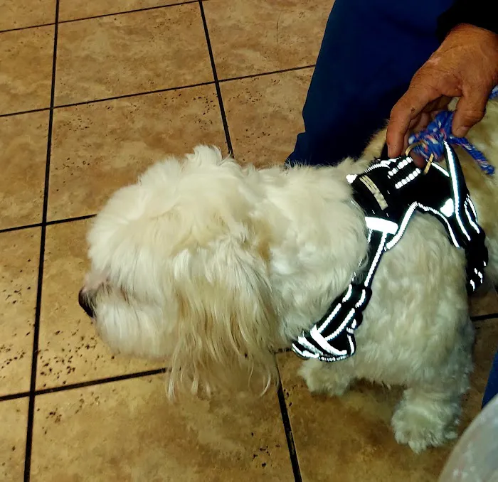 Gulfgate Animal Hospital. Picture 9