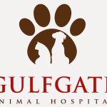 Gulfgate Animal Hospital: Dr. Kathy Palmer