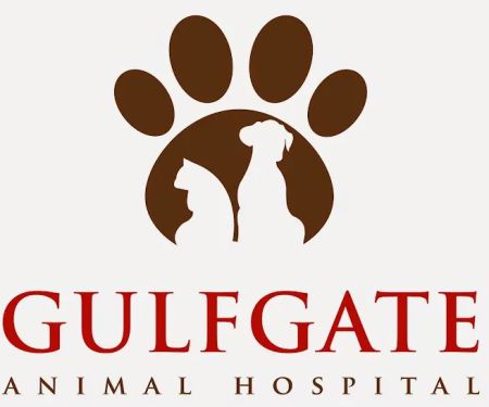 Gulfgate Animal Hospital: Dr. Kathy Palmer