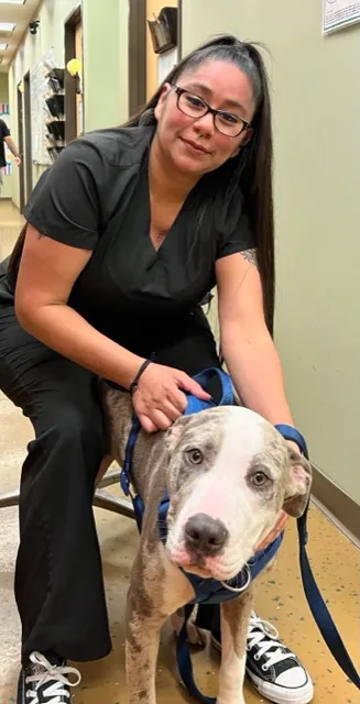 Long Drive Dog & Cat Hospital Picture 4