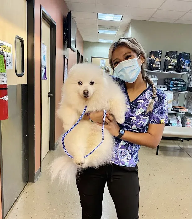 Long Drive Dog & Cat Hospital Picture 5