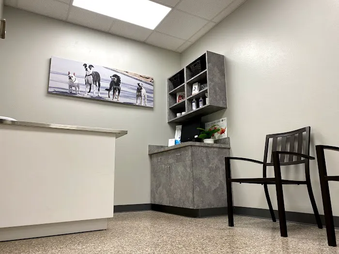 Pet Clinic On Bellfort Picture 1