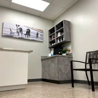 Pet Clinic On Bellfort ico