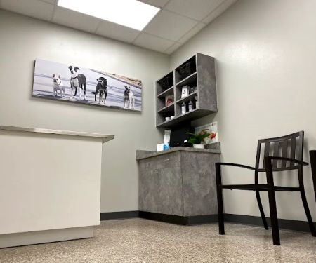 Pet Clinic On Bellfort