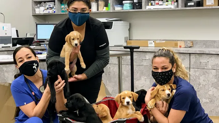 Pet Clinic On Bellfort Picture 5
