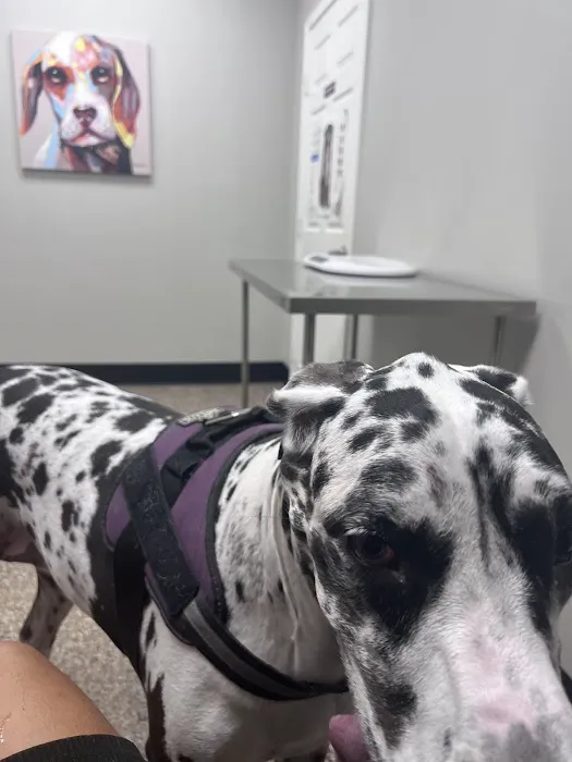 Pet Clinic On Bellfort Picture 10