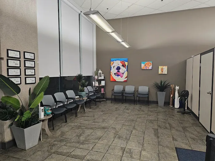 Fresno Veterinary Specialty and Emergency Center Picture 2