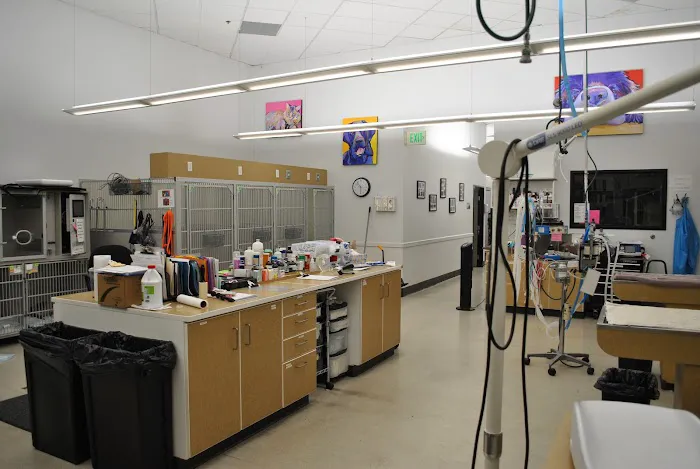 Fresno Veterinary Specialty and Emergency Center Picture 5
