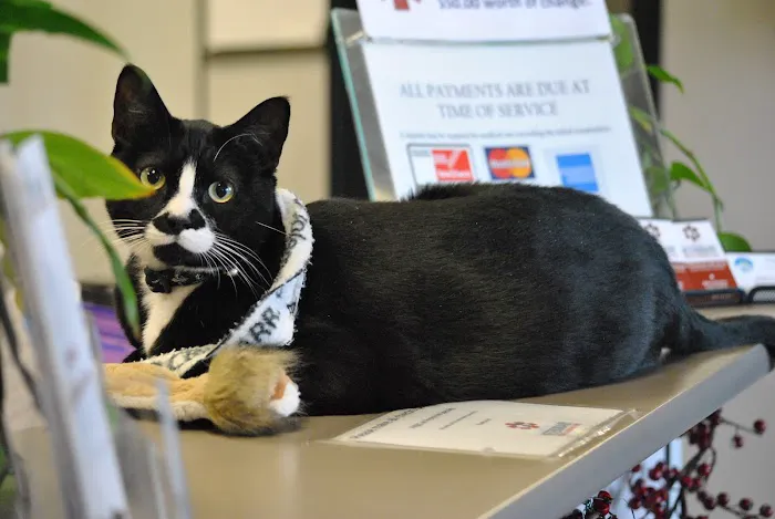 Fresno Veterinary Specialty and Emergency Center Picture 9