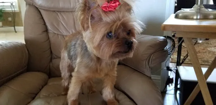 Charlene Hagus DVM Picture 4