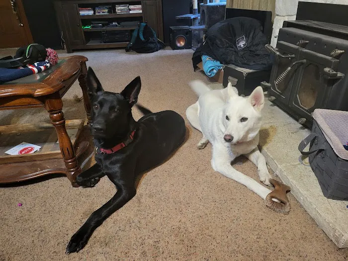 Banfield Pet Hospital Picture 5