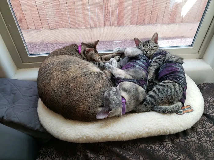 Banfield Pet Hospital Picture 7