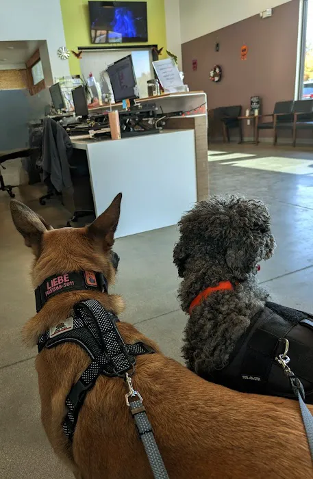 Armstrong Pet Hospital Picture 2