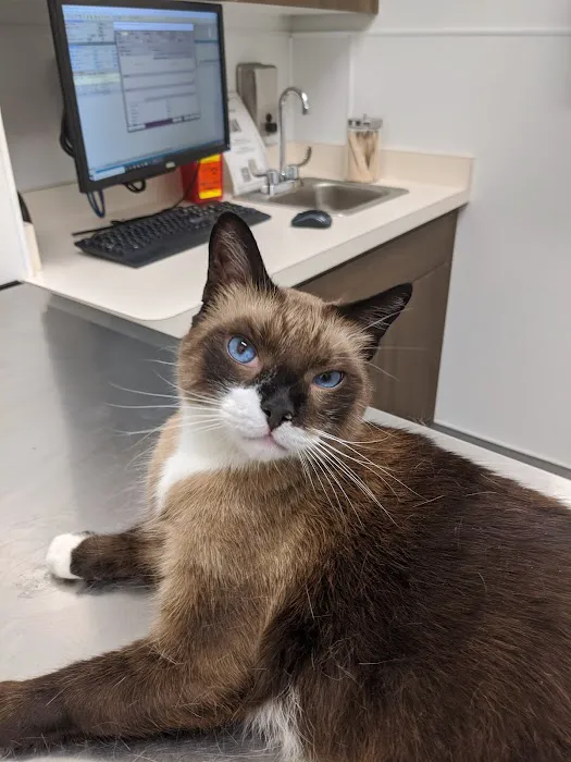 Armstrong Pet Hospital Picture 1