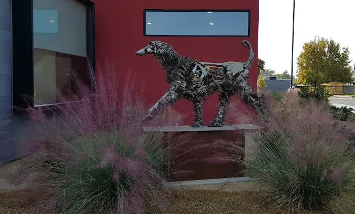 Armstrong Pet Hospital Picture 6