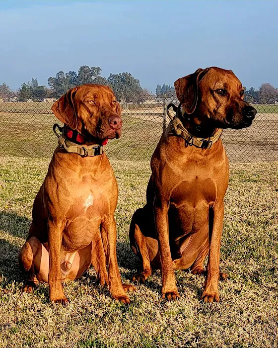 Armstrong Pet Hospital Picture 8
