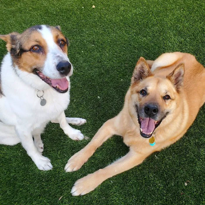 Armstrong Pet Hospital Picture 9