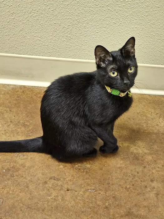 Clovis Pet Hospital Picture 3