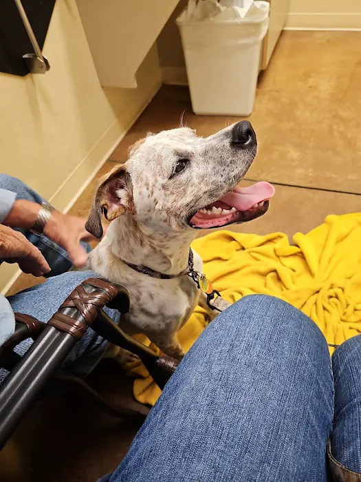 Clovis Pet Hospital Picture 9