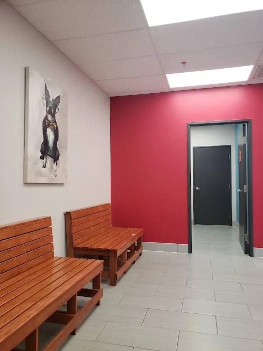 Clovis Pet Hospital Picture 10