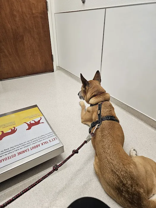 Waterhouse Animal Hospital of Clovis Picture 4