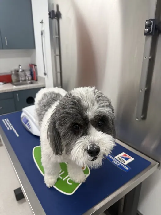Waterhouse Animal Hospital of Clovis Picture 10