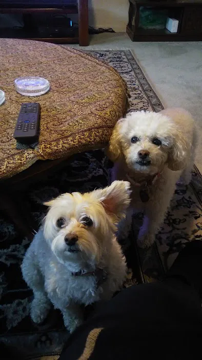 Banfield Pet Hospital Picture 3