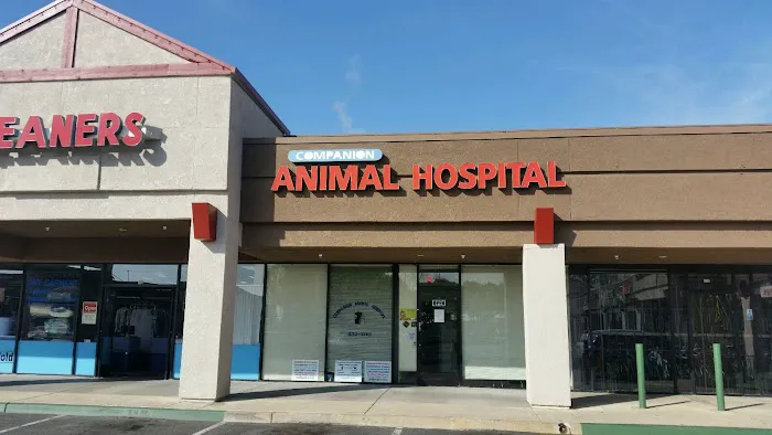 Companion Animal Hospital of Woodward Park Picture 3
