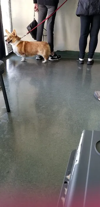 Companion Animal Hospital of Woodward Park Picture 9