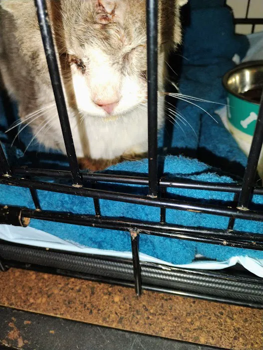 Palm Bluff Veterinary Hospital Picture 2