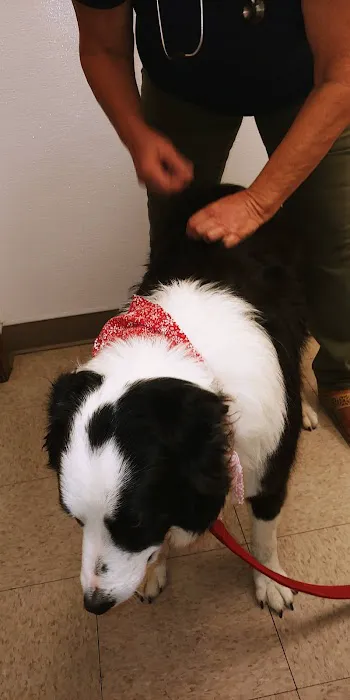 Palm Bluff Veterinary Hospital Picture 6