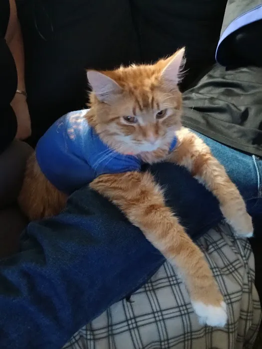 Palm Bluff Veterinary Hospital Picture 7