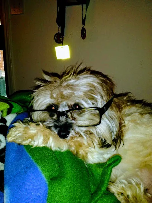 Palm Bluff Veterinary Hospital Picture 9