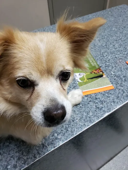 San Joaquin Veterinary Hospital Picture 6