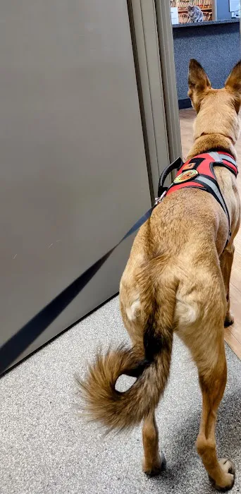 San Joaquin Veterinary Hospital Picture 7