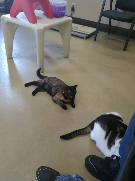 San Joaquin Veterinary Hospital Picture 8