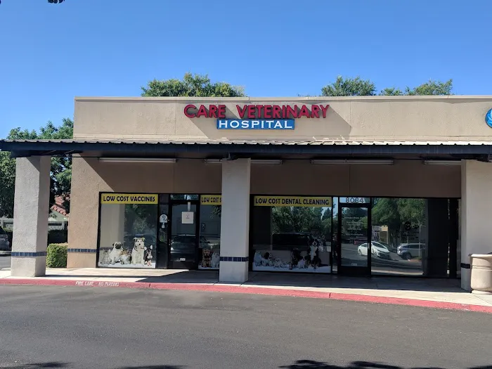 Care Veterinary Hospital Picture 2