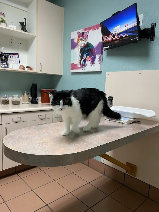 Arden Animal Hospital Picture 2