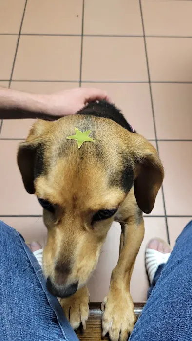 Arden Animal Hospital Picture 8